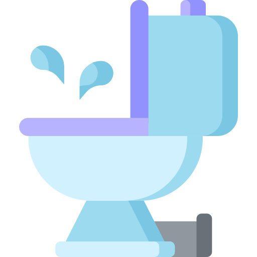 toilet
